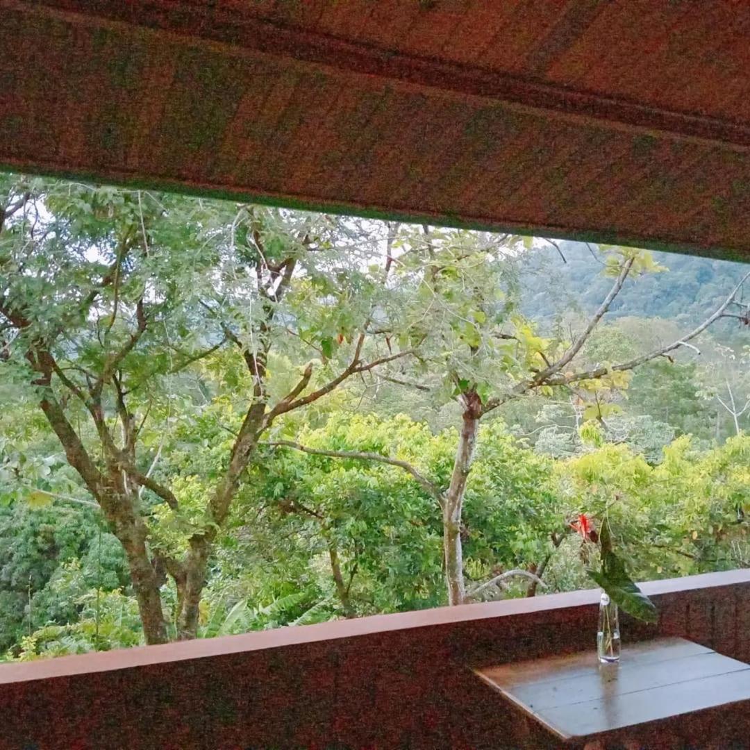Casa Miramar * Uvita