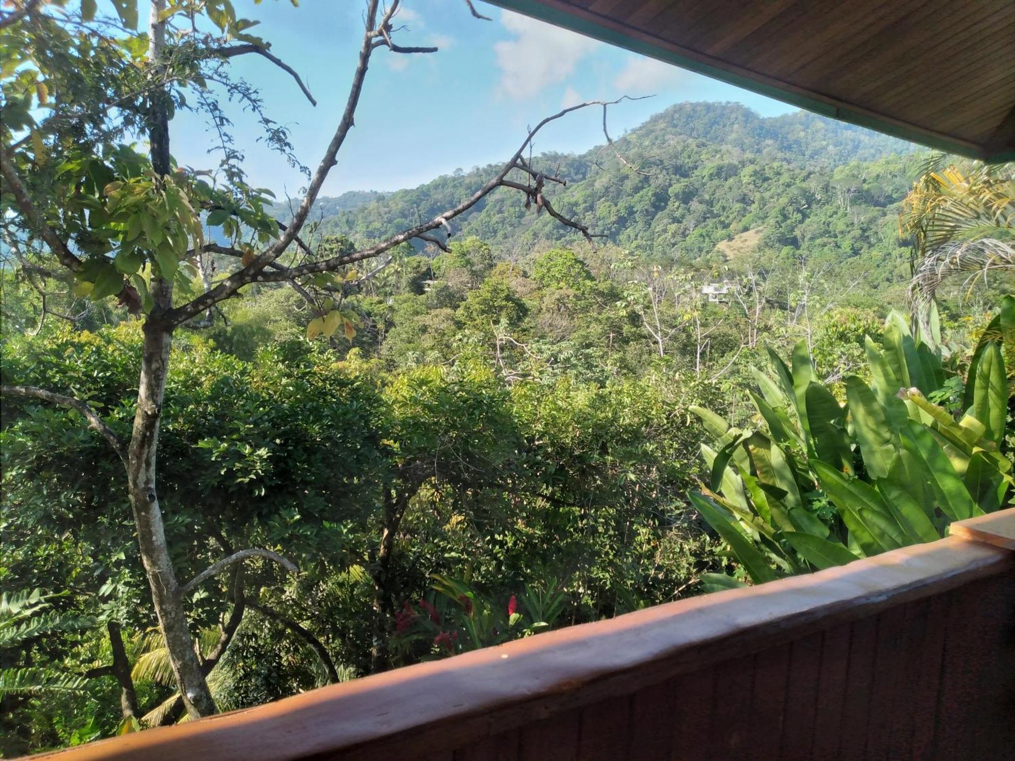 Casa Miramar Holiday home